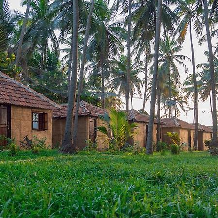 Sunway Cottages Mandrem Eksteriør billede